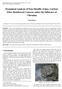 Dynamical Analysis of Non-Metallic (Glass, Carbon) Fiber Reinforced Concrete under the Influence of Vibration