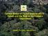Current Status of Forest Biodiversity in Sabah and the Role of the Forestry Department. Sabah Forestry Department