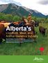 Alberta Today Supplier of Safe Food Products Meat Sector Starts With High Quality Genetics