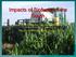 Impacts of Biofuels on the South