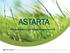 ASTARTA. Energy efficiency and bioenergy opportunities
