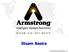 Steam Basics Armstrong International, Inc.