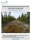 TESTING FUNCTIONAL RESTORATION OF LINEAR FEATURES PHASE IIA PROGRESS REPORT WITHIN BOREAL CARIBOU RANGE