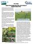 Case Study: Legume Inter-Seeding Field Trials, Lake County, MT Sprinkler-Irrigated Sites