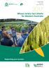Wheat variety fact sheets for Western Australia