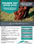 POUNDS PAY. - SPRING OFFER - January 1, 2013 June 30, 2013 EARN UP TO 6% REBATE ON SELECT MERCK ANIMAL HEALTH PRODUCTS
