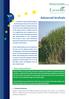 Advanced biofuels. 1. What are advanced biofuels?
