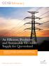 An Efficient, Productive and Sustainable Electricity Supply for Queensland