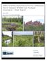 2008 NorthMet Mine/Forest Service Additional Parcel Summer Wildlife and Wetland Assessment Final Report