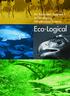 An Ecosystem Approach to Developing Infrastructure Projects. Eco-Logical