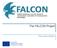 The FALCON Project. Eva Coscia (Holonix) Horizon 2020 European Union Funding for Research & Innovation