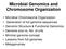 Microbial Genomics and Chromosome Organization