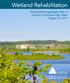 Wetland Rehabilitation. Surrendered Aggregate Sites in Ontario s Provincial Plan Areas August 15, 2017