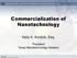 Commercialization of Nanotechnology