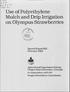 Use of Polyethylene Mulch and Drip Irrigation on Olympus Strawberries