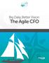 Big Data, Better Vision: The Agile CFO