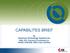 CAPABILITES BRIEF. By American Technology Systems Inc DBA: ATS Training & Consulting Co. WOSB, EDWOSB, DBE & 8(A) Certified