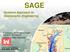 SAGE. Systems Approach to Geomorphic Engineering. R. Grandpre, PF Wagner, D Larson- Salvatore, CB Chesnutt Institute for Water Resources