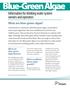 Blue-Green Algae Information for drinking water system owners and operators