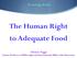 The Human Right to Adequate Food