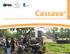 Cassava + Opportunities for Africa s Smallholder Cassava Farmers AFRICA S CASSAVA BELT