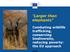 Larger than elephants Combating wildlife trafficking, conserving biodiversity, reducing poverty: the EU approach