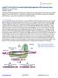 transedit pclip-all-efs-puro (Lentiviral grna/cas9) Epigenetics CRISPR Screening Library Plasmid DNA or Lentivirus Format CAHD9001, CAHV9001