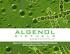 Algenol s Second Generation Photobioreactor Harlan L Miller III and Algenol Team