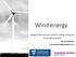 Wind energy. Energy Centre summer school in Energy Economics February Kiti Suomalainen