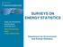 SURVEYS ON ENERGY STATISTICS. Department for Environment and Energy Statistics