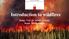 Introduction to wildfires. Assoc. Prof. Dr. Simon Schnabl Assist. Marko Radak