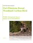Owl-Flintstone Boreal Woodland Caribou Herd Wildlife Management Report: Impacts & Recommendations