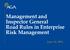 Management and Inspector General Road Rules in Enterprise Risk Management. June 16, 2016