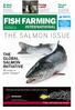 FISH FARMING THE SALMON ISSUE INTERNATIONAL. THE GLOBAL SALMON INITIATIVE PR stunt or game changer?