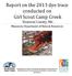 Report on the 2013 dye trace conducted on Girl Scout Camp Creek Houston County, Mn