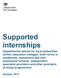 Supported internships