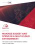MANAGE BUDGET AND SPEND IN A MULTI-CLOUD ENVIRONMENT THE CLOUD IS VAST, YOUR BUDGET IS LIMITED WHAT IS YOUR PLAN?