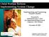 Child Welfare Reform Implementing System Change
