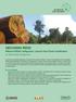 Effective REDD+ Safeguards: Lessons from Forest Certification An Asia-Pacific Perspective