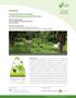 Ecological Restoration Strategies for Cattle Ranching Landscapes of the Azuero