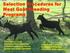 Selection Procedures for Meat Goat Breeding Programs