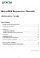 MicroRNA Expression Plasmids
