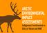 ARCTIC ENVIRONMENTAL IMPACT ASSESSMENTS. Indigenous Involvement in EIAs in Yukon and NWT