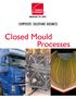 COMPOSITE SOLUTIONS BUSINESS. Closed Mould Processes