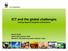 ICT and the global challenges moving beyond marginal contributions