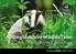 Contents. Nottinghamshire Wildlife Trust. Recruitment Brochure. Protecting Wildlife for the Future