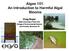 Algae 101: An Introduction to Harmful Algal Blooms