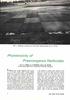 Preemergence Herbicides. Phytotoxicity. by F. V. JUSKA, A. A. HANSON, and A. W. HOVIN