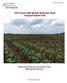 2018 Texas A&M AgriLife Extension Grain Sorghum Hybrid Trial