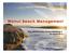 Wainui Beach Management. Key Stakeholder Forum Meeting 4 28 August Version 1